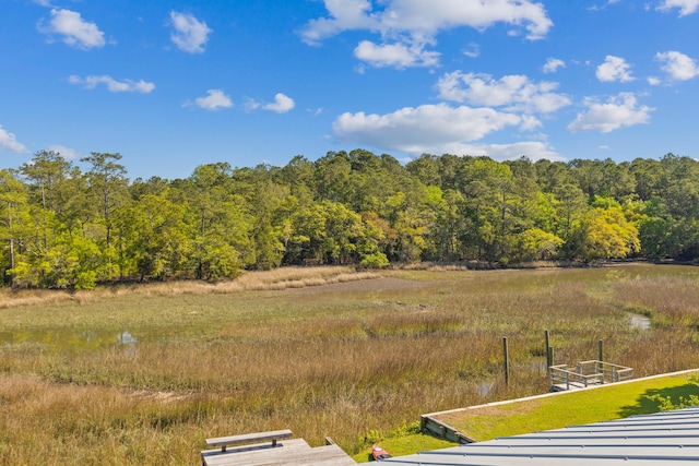 112 Berkshire Dr, Wando, SC 29492 - view of yard with a view of trees and a boat dock