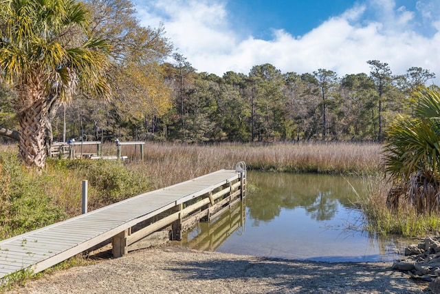 112 Berkshire Dr, Wando, SC 29492 - view of dock with a water view and a forest view