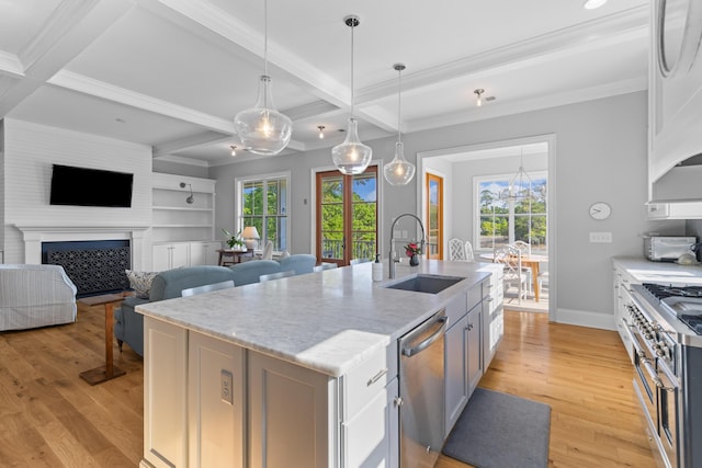 112 Berkshire Dr, Wando, SC 29492 - kitchen featuring a healthy amount of sunlight, light wood-type flooring, a sink, baseboards, and stainless steel appliances
