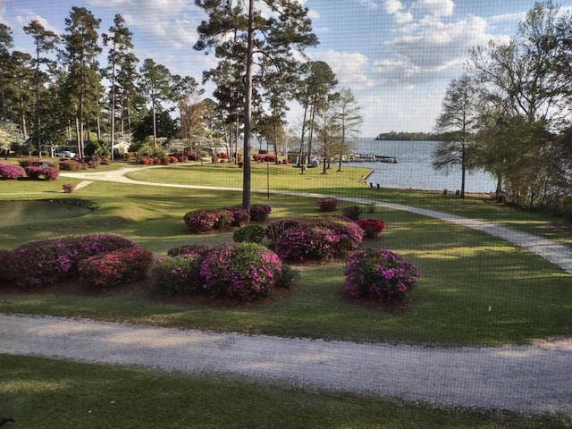 1205 Cypress Pointe Unit A205, Manning, SC 29102 - surrounding community featuring a water view and a yard