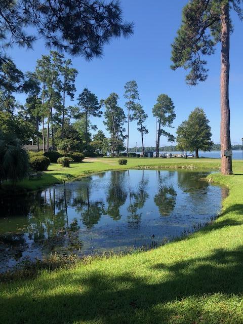1205 Cypress Pointe Unit A205, Manning, SC 29102 - water view