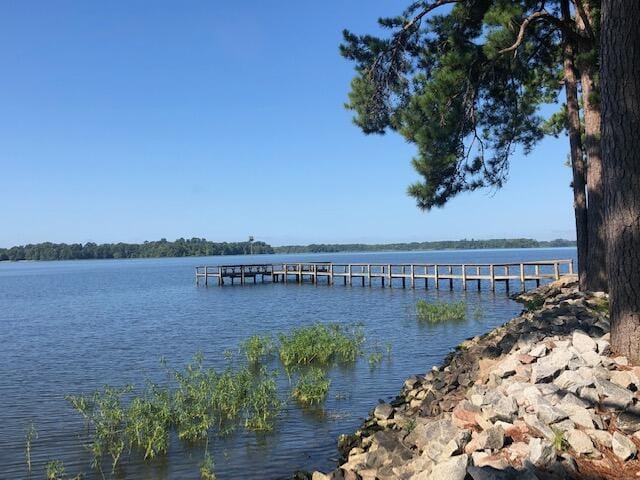 1205 Cypress Pointe Unit A205, Manning, SC 29102 - dock with a water view