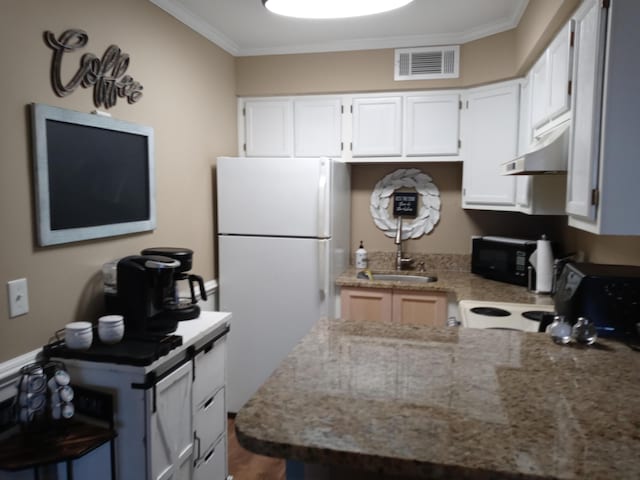 1205 Cypress Pointe Unit A205, Manning, SC 29102 - kitchen featuring freestanding refrigerator, black microwave, under cabinet range hood, crown molding, and a sink