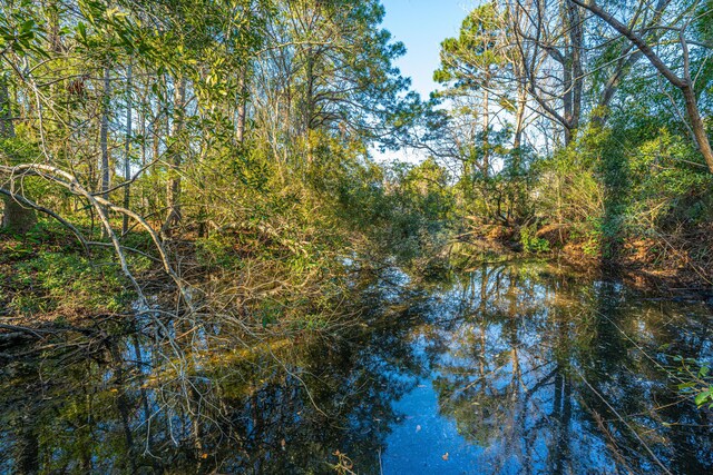 property view of water featuring a wooded view