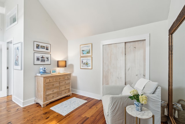 living area with wood-type flooring and high vaulted ceiling