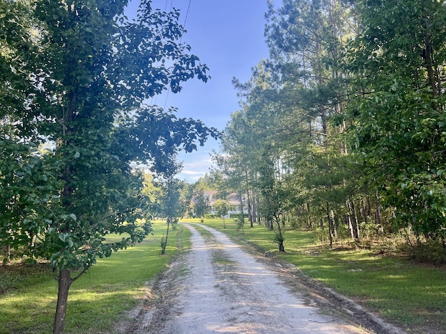 1173 Penny Creek Dr, Ruffin, SC 29475 - view of road