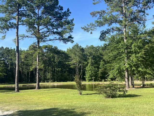 1173 Penny Creek Dr, Ruffin, SC 29475 - view of green lawn featuring a water view