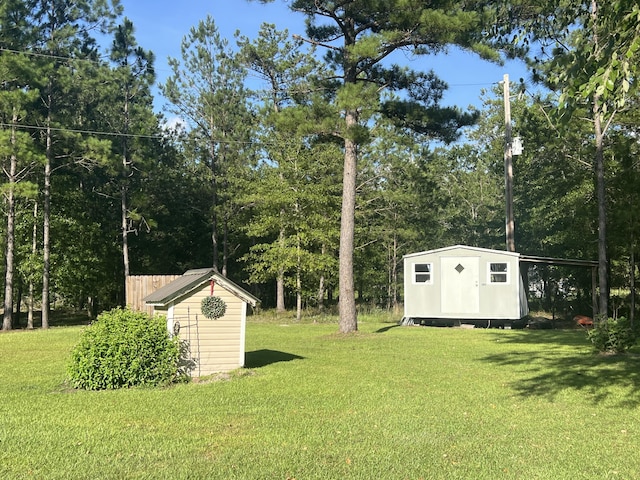 1173 Penny Creek Dr, Ruffin, SC 29475 - view of grassy yard featuring a shed