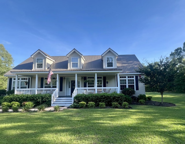 1173 Penny Creek Dr, Ruffin, SC 29475 - cape cod house with a front lawn, a metal roof, and a porch