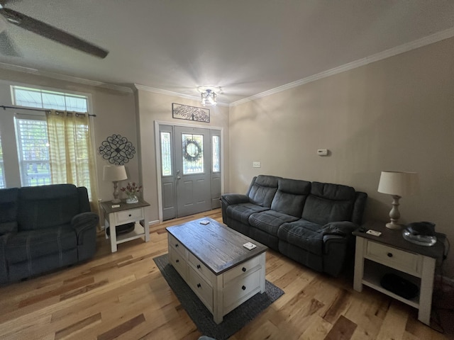 1173 Penny Creek Dr, Ruffin, SC 29475 - living area featuring ornamental molding, light wood-type flooring, and plenty of natural light