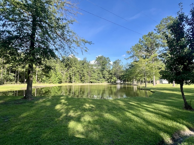 1173 Penny Creek Dr, Ruffin, SC 29475 - view of green lawn with a water view