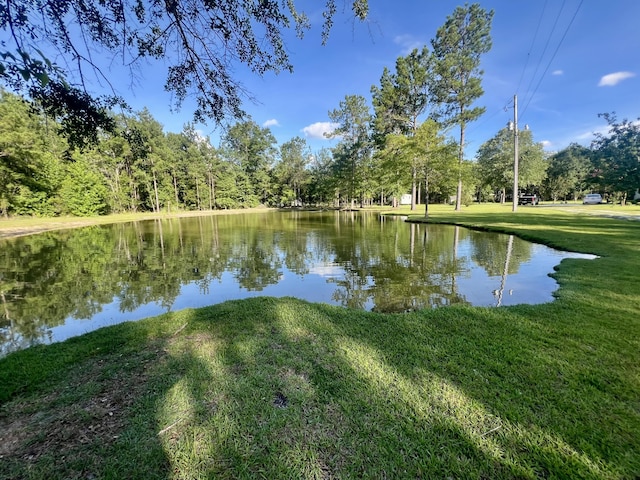 1173 Penny Creek Dr, Ruffin, SC 29475 - water view