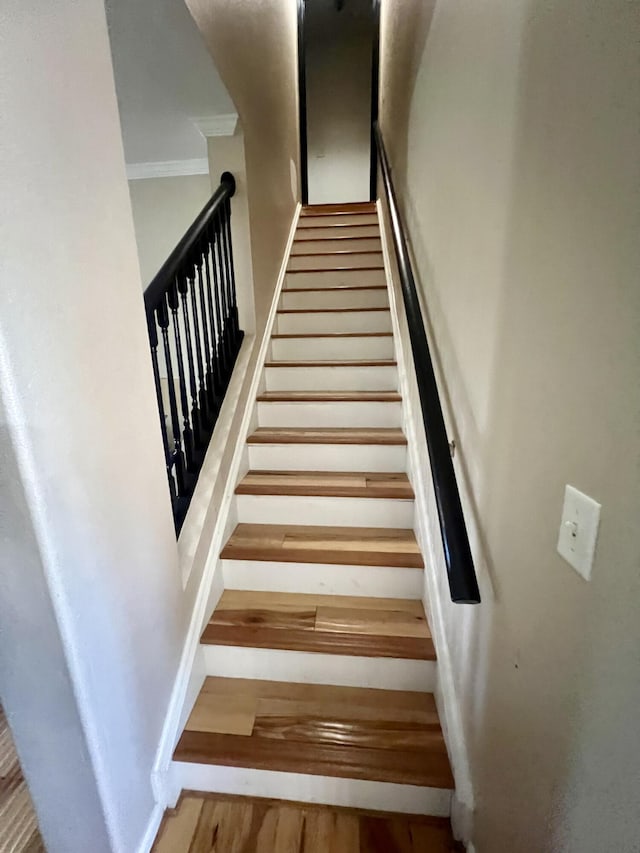 1173 Penny Creek Dr, Ruffin, SC 29475 - stairs featuring crown molding and wood finished floors