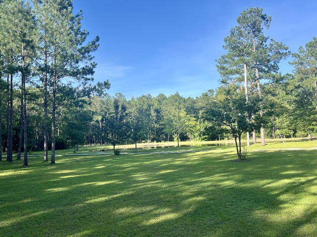 1173 Penny Creek Dr, Ruffin, SC 29475 - view of grassy yard