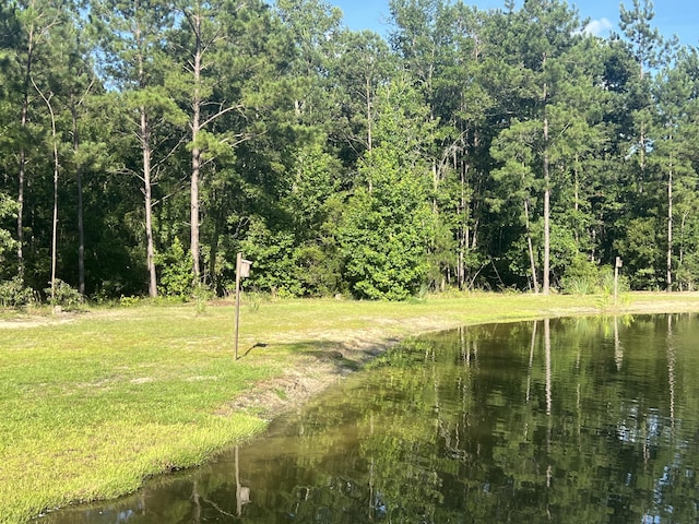 1173 Penny Creek Dr, Ruffin, SC 29475 - view of undeveloped land