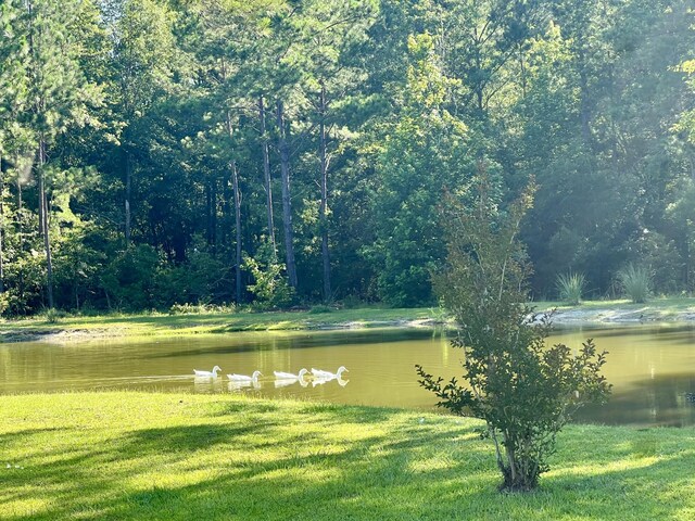 1173 Penny Creek Dr, Ruffin, SC 29475 - water view with a heavily wooded area