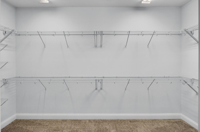 102 Brutus Ln, Summerville, SC 29485 - spacious closet with carpet