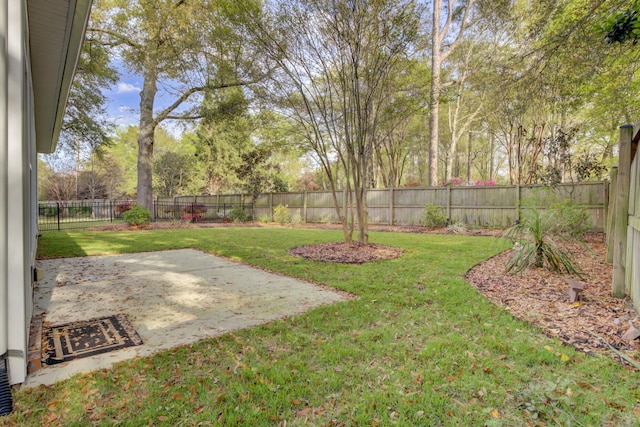 102 Brutus Ln, Summerville, SC 29485 - view of yard with a fenced backyard and a patio