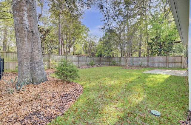 102 Brutus Ln, Summerville, SC 29485 - view of yard featuring a fenced backyard