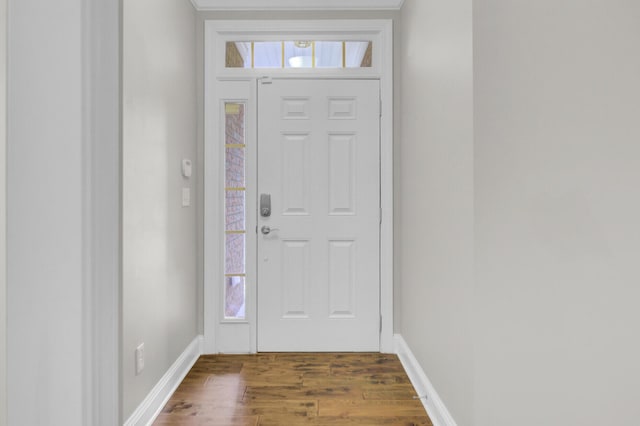 102 Brutus Ln, Summerville, SC 29485 - foyer entrance featuring plenty of natural light, dark wood-style floors, and baseboards