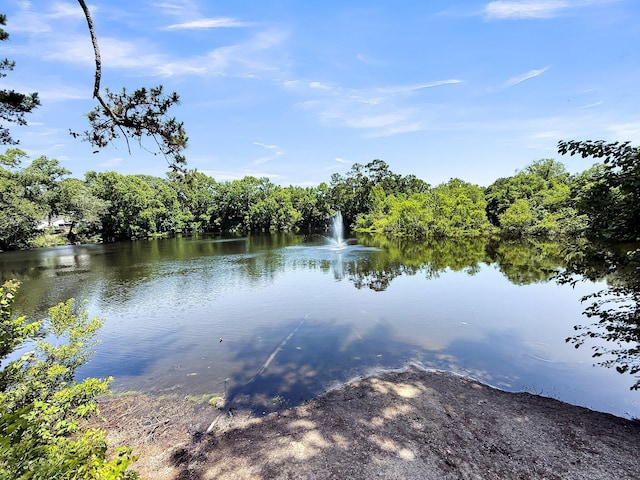 5806 Robinhood Dr, Hanahan, SC 29410 - water view featuring a forest
