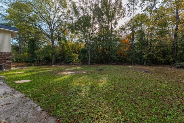 109 Beacon Ave, Moncks Corner, SC 29461 - view of grassy yard with cooling unit