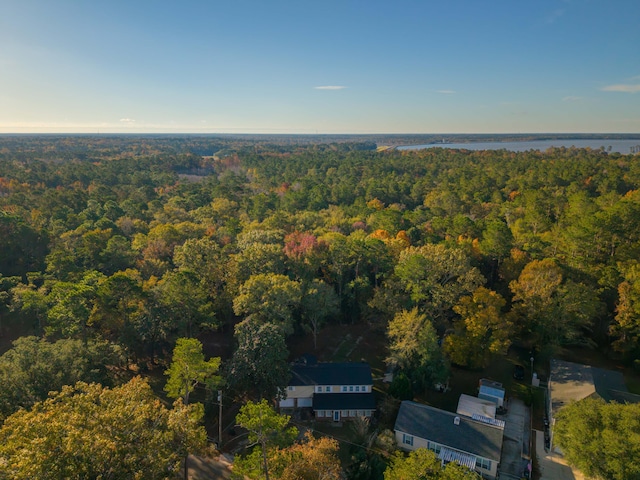 109 Beacon Ave, Moncks Corner, SC 29461 - aerial overview of property's location featuring a forest and a nearby body of water