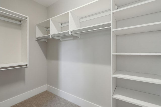 walk in closet with carpet floors