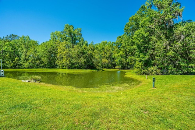 view of community with a yard and a water view