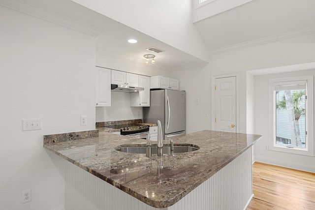kitchen featuring crown molding, a sink, stainless steel appliances, under cabinet range hood, and visible vents