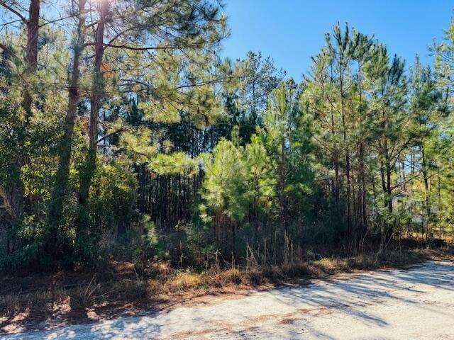 293 Sunny Lp, Varnville SC, 29944 land for sale