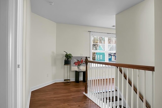 hall featuring dark hardwood / wood-style floors