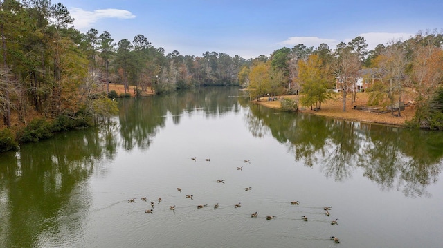 213 Myrtlewood Dr, Santee, SC 29142 - view of water feature with a view of trees