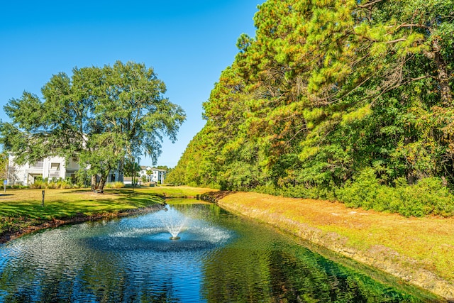 property view of water