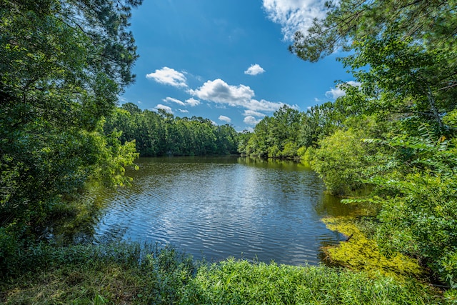 property view of water