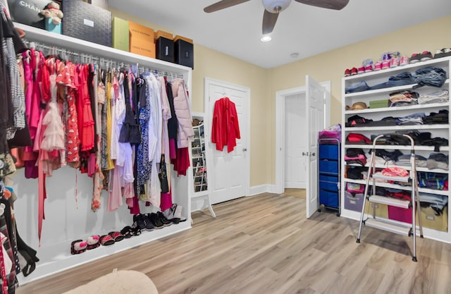 walk in closet featuring wood finished floors and a ceiling fan
