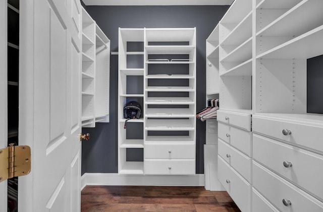 walk in closet featuring dark wood-style floors
