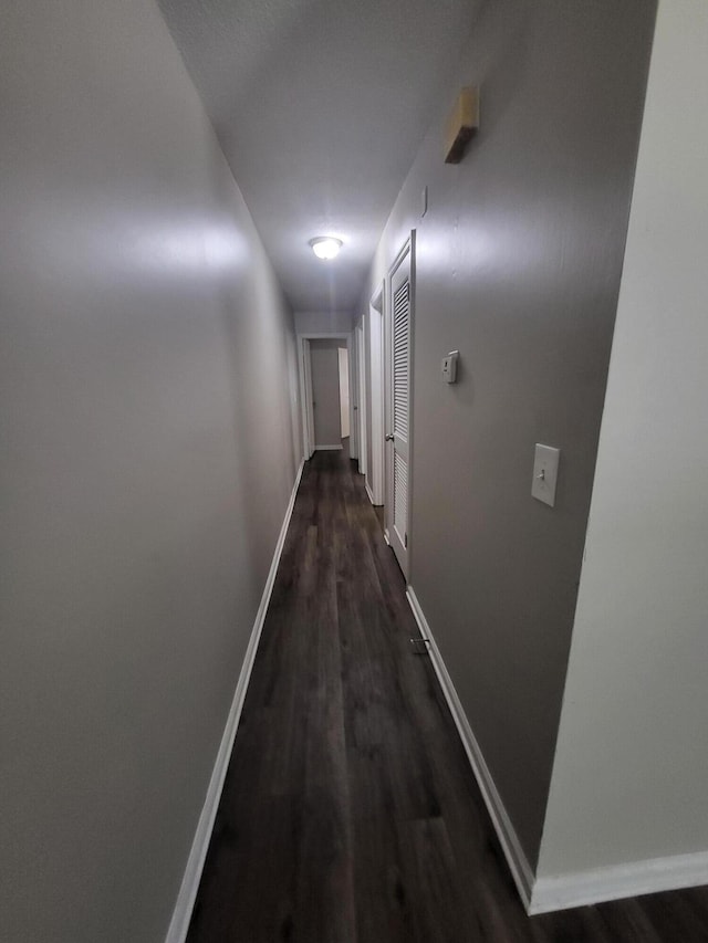 hall featuring dark hardwood / wood-style floors