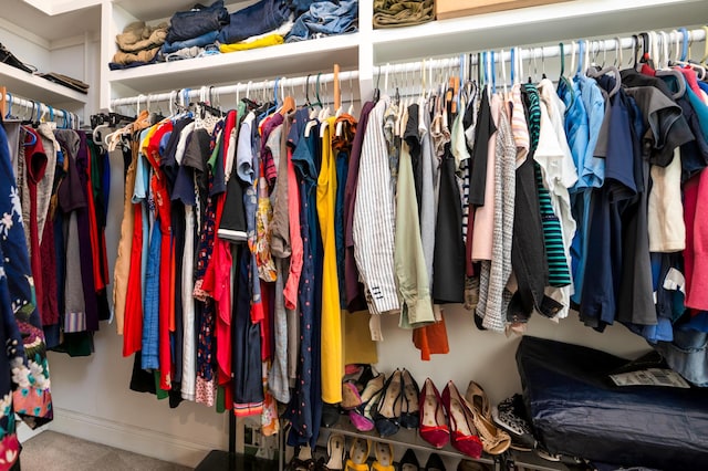 1976 Liberia Rd, Wadmalaw Island, SC 29487 - walk in closet featuring carpet flooring