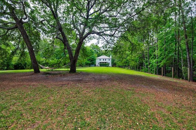 1976 Liberia Rd, Wadmalaw Island, SC 29487 - view of yard with a view of trees