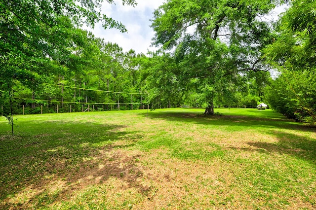 1976 Liberia Rd, Wadmalaw Island, SC 29487 - view of grassy yard featuring a wooded view