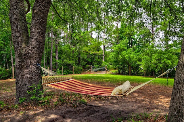 1976 Liberia Rd, Wadmalaw Island, SC 29487 - view of community