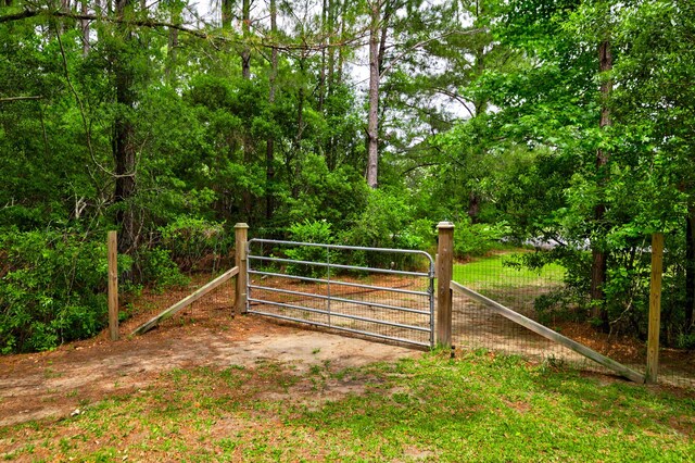 1976 Liberia Rd, Wadmalaw Island, SC 29487 - gate featuring fence