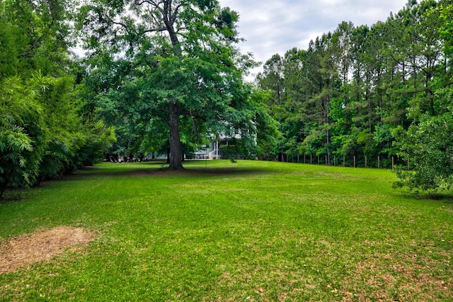 1976 Liberia Rd, Wadmalaw Island, SC 29487 - view of grassy yard