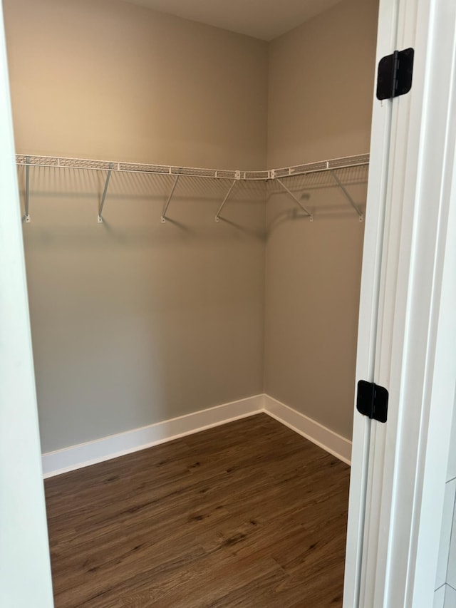 walk in closet featuring dark wood-type flooring