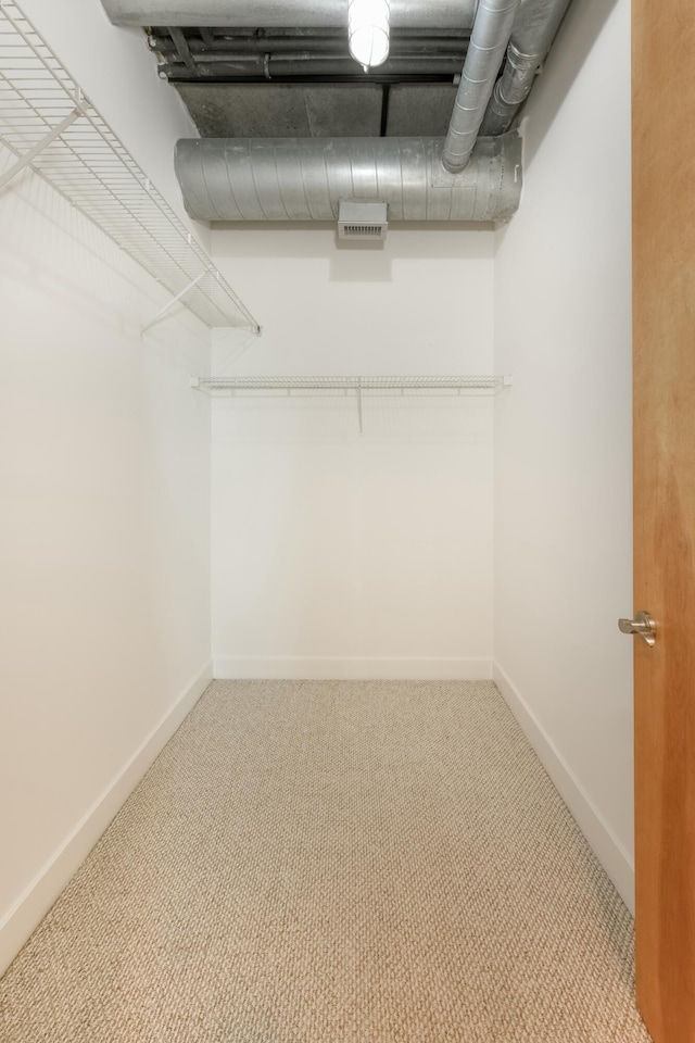 walk in closet with light colored carpet