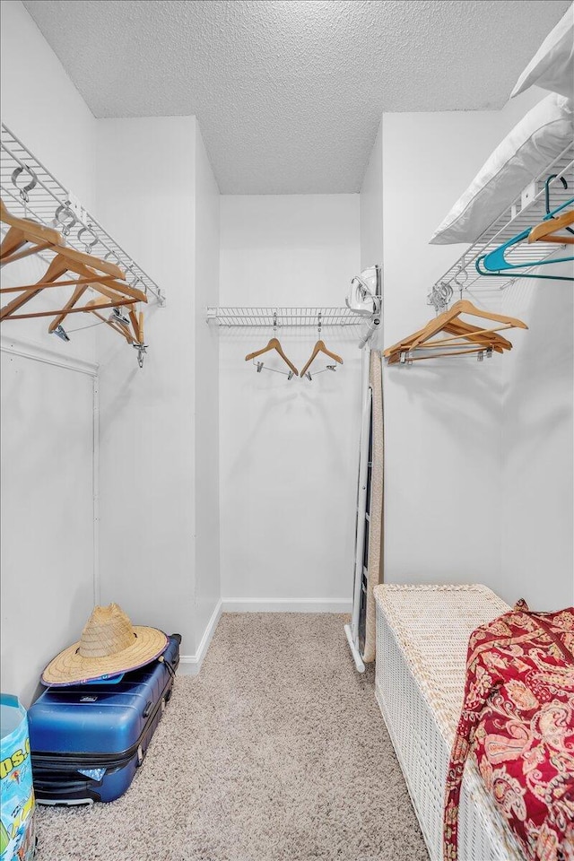 spacious closet with carpet floors