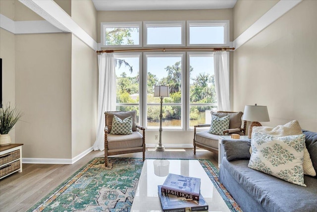 living room featuring wood-type flooring