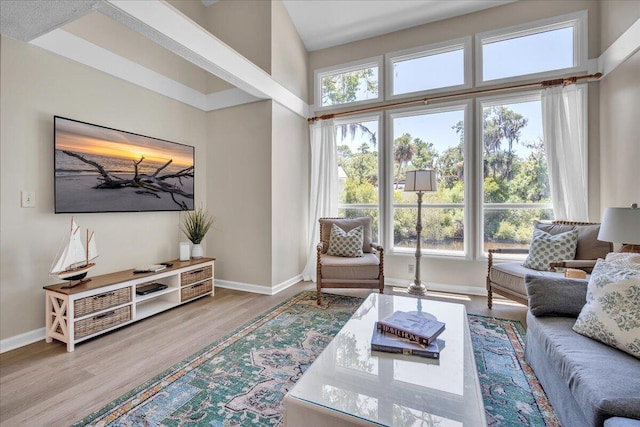 living room with light wood-type flooring and a high ceiling