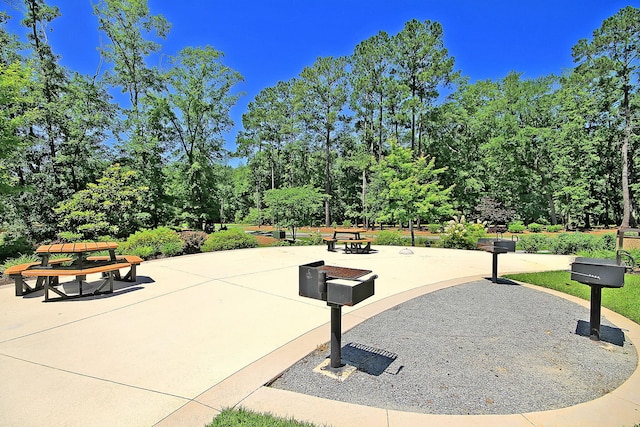 9829 English Elm St, Ladson, SC 29456 - view of community